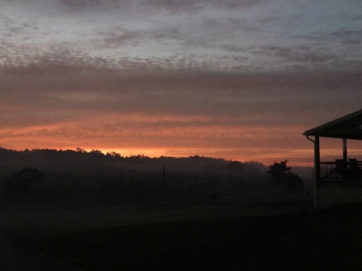 File Sep 25, 10 05 58 AM